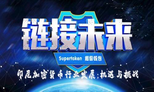 印尼加密货币行业发展：机遇与挑战