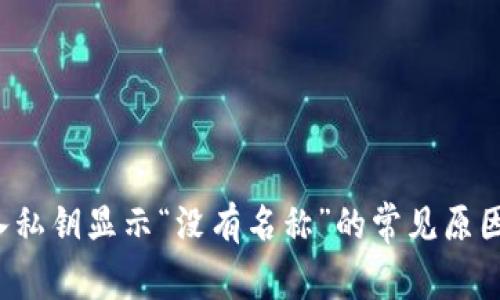 TP钱包导入私钥显示“没有名称”的常见原因及解决方案