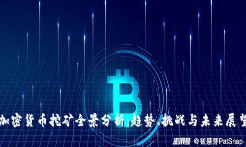 加密货币挖矿全景分析：趋势、挑战与未来展望