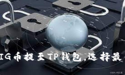 如何将PIG币提至TP钱包，选择最佳链方式