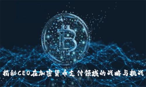 揭秘CEO在加密货币支付领域的战略与挑战