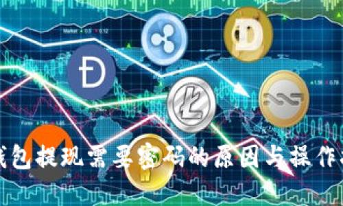 TP钱包提现需要密码的原因与操作指南