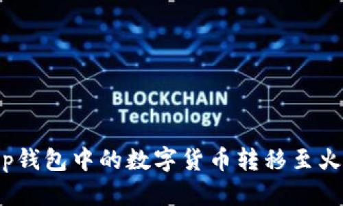 如何将t p钱包中的数字货币转移至火币和币安