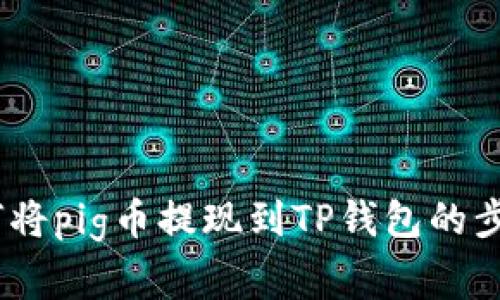 全面解读：如何将pig币提现到TP钱包的步骤与注意事项