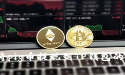 全面解读：如何将pig币提现到TP钱包的步骤与注意事项