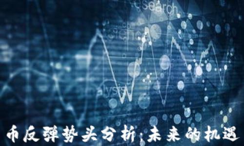 
加密货币反弹势头分析：未来的机遇与风险