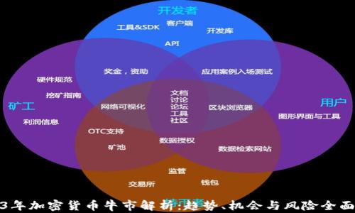 
2023年加密货币牛市解析：趋势、机会与风险全面解读
