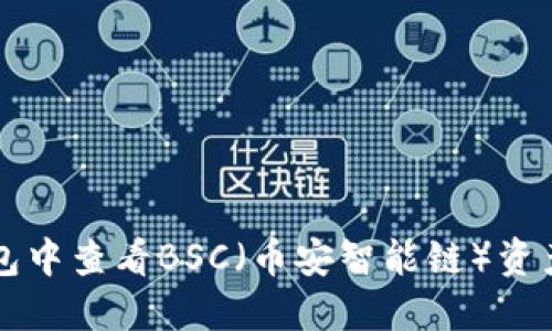 如何在TP钱包中查看BSC（币安智能链）资产和交易记录