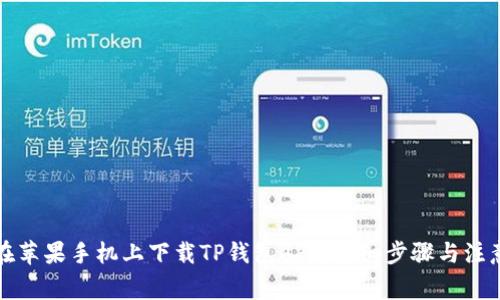 如何在苹果手机上下载TP钱包APP：详细步骤与注意事项