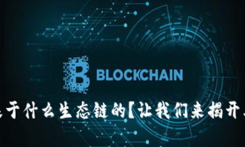 t p钱包是基于什么生态链的？让我们来揭开其神秘面纱 