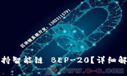 TP钱包如何支持智能链 BEP-20？详细解析与使用指南