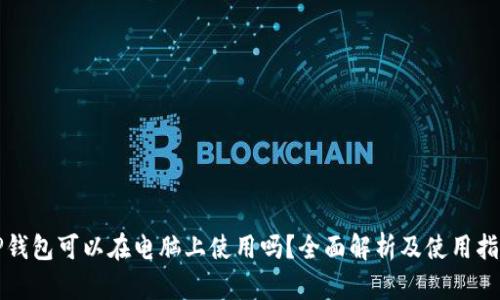 TP钱包可以在电脑上使用吗？全面解析及使用指南