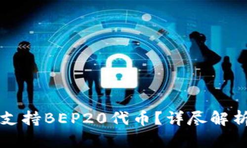 TP钱包是否支持BEP20代币？详尽解析与实用指南