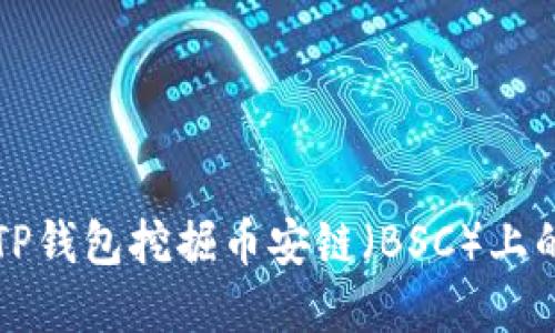 如何使用TP钱包挖掘币安链（BSC）上的数字资产