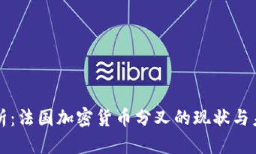 深入解析：法国加密货币分叉的现状与未来发展