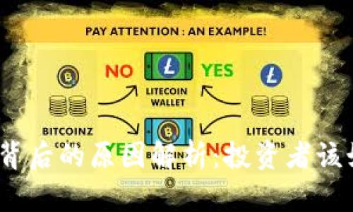 加密货币涨价背后的原因解析：投资者该如何把握机会？