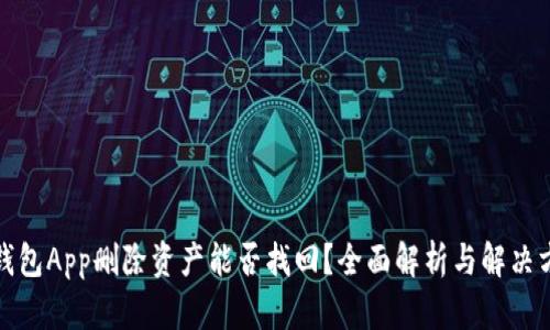 TP钱包App删除资产能否找回？全面解析与解决方案