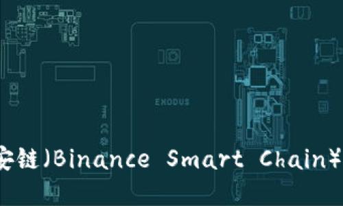 如何选择币安链（Binance Smart Chain）上的TP钱包？