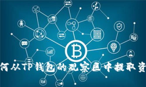 如何从TP钱包的观察区中提取资金