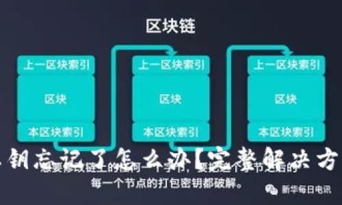 TP钱包私钥忘记了怎么办？完整解决方案与技巧