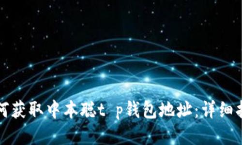 如何获取中本聪t p钱包地址：详细指南
