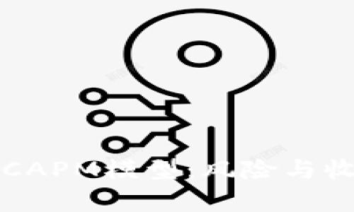 深入解析加密货币CAPM模型：风险与收益的最佳衡量工具