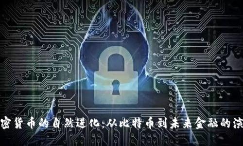 加密货币的自然进化：从比特币到未来金融的演变