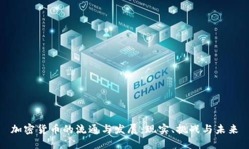 加密货币的流通与发展：现实、挑战与未来