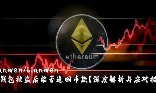 bianwen/bianwen
TP钱包被盗后能否追回币款？深度解析与应对措施