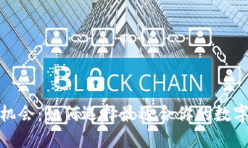 加密货币托管机会：如何选择最适合你的数字资产安全方案