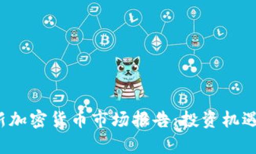 2023年最新加密货币市场报告：投资机遇与风险分析