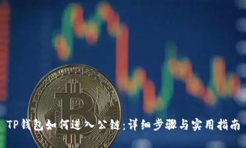 TP钱包如何进入公链：详细步骤与实用指南