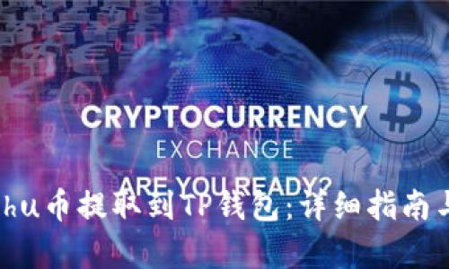 如何将Kishu币提取到TP钱包：详细指南与步骤解析