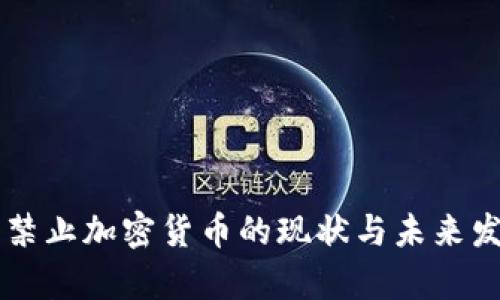 印度未禁止加密货币的现状与未来发展分析