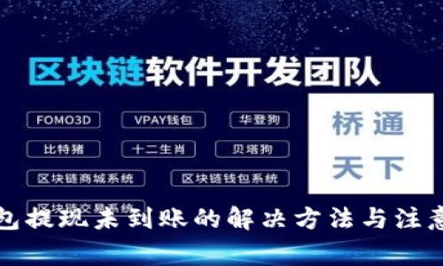TP钱包提现未到账的解决方法与注意事项