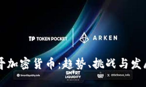 墨西哥加密货币：趋势、挑战与发展前景