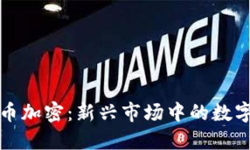 阿根廷货币加密：新兴市场中的数字货币革命