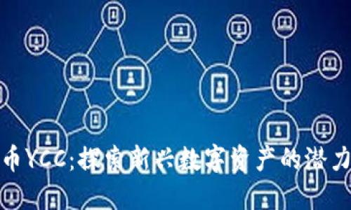 加密货币YCC：探索新兴数字资产的潜力与挑战