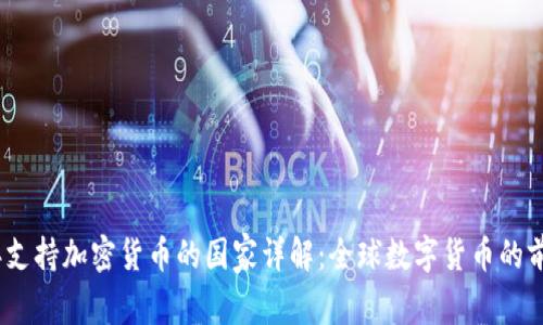 2023年支持加密货币的国家详解：全球数字货币的前沿阵地