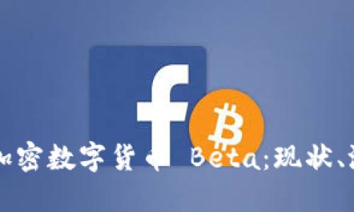 深入探讨加密数字货币 Beta：现状、潜力与未来