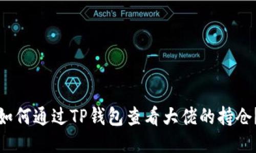 如何通过TP钱包查看大佬的持仓？