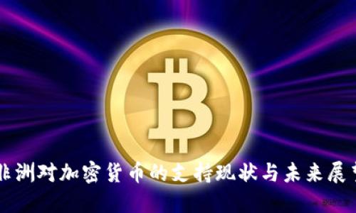 非洲对加密货币的支持现状与未来展望