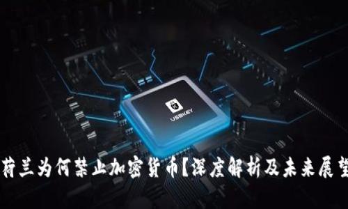 荷兰为何禁止加密货币？深度解析及未来展望