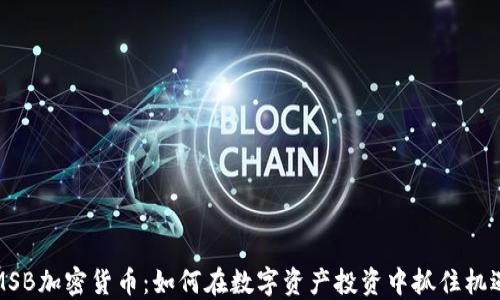 
MSB加密货币：如何在数字资产投资中抓住机遇