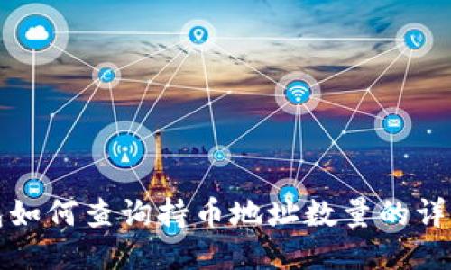 TP钱包如何查询持币地址数量的详细指南