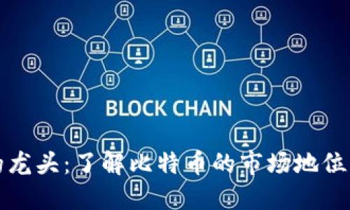 加密货币的龙头：了解比特币的市场地位与未来潜力