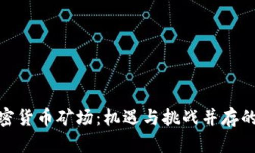 探索俄罗斯加密货币矿场：机遇与挑战并存的数字黄金之地