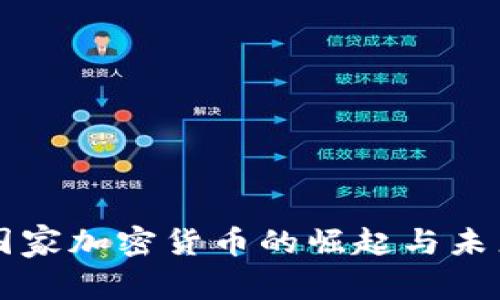 丹麦国家加密货币的崛起与未来展望