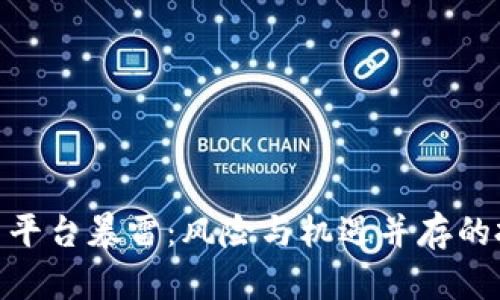 加密货币平台暴雷：风险与机遇并存的投资环境