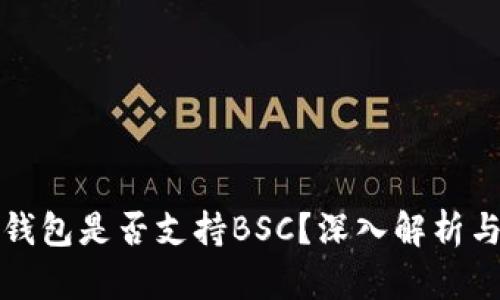 TP桌面版钱包是否支持BSC？深入解析与使用指南